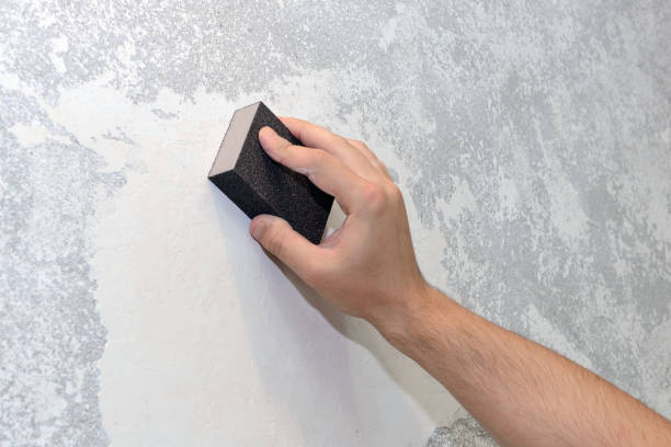 Best HVAC Mold Inspection and Cleaning  in Clay, KY