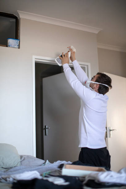 Best Asbestos and Lead Testing During Mold Inspection  in Clay, KY