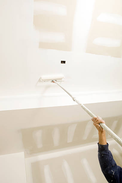Best Mold Prevention Services  in Clay, KY